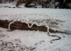 Schneeschlange.jpg